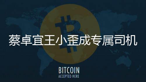 蔡卓成专成双会小歪选p线下约落地宜王机属司手c